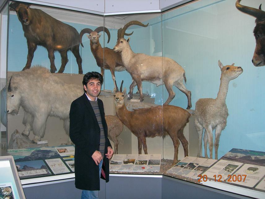 Sipan in Natural History Museum  in London