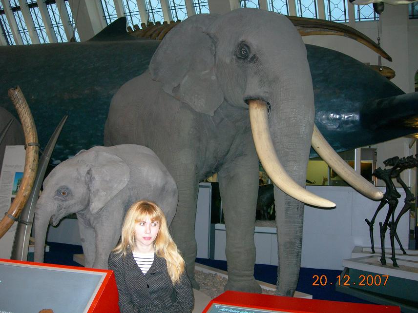 Oana in Natural History Museum  in London